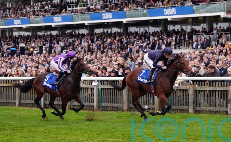 Pierre Bonnard illustrates Classic potential in Zetland Stakes