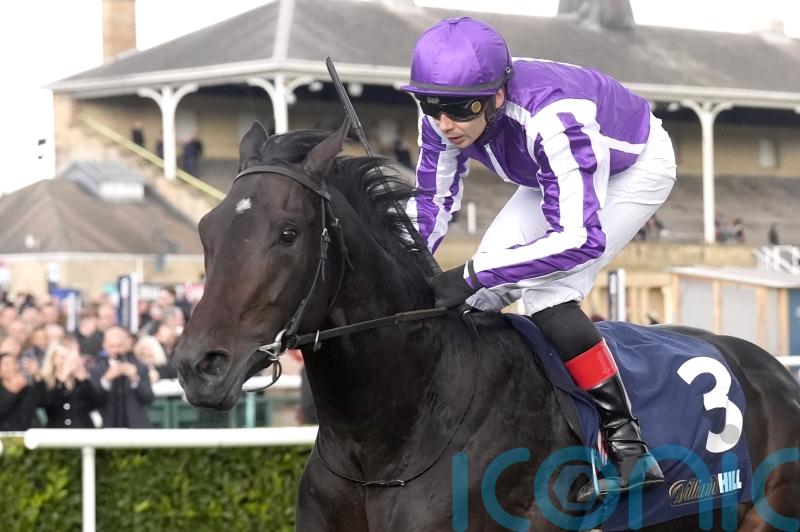 Hawk Mountain leads home Futurity one-two-three for O’Brien