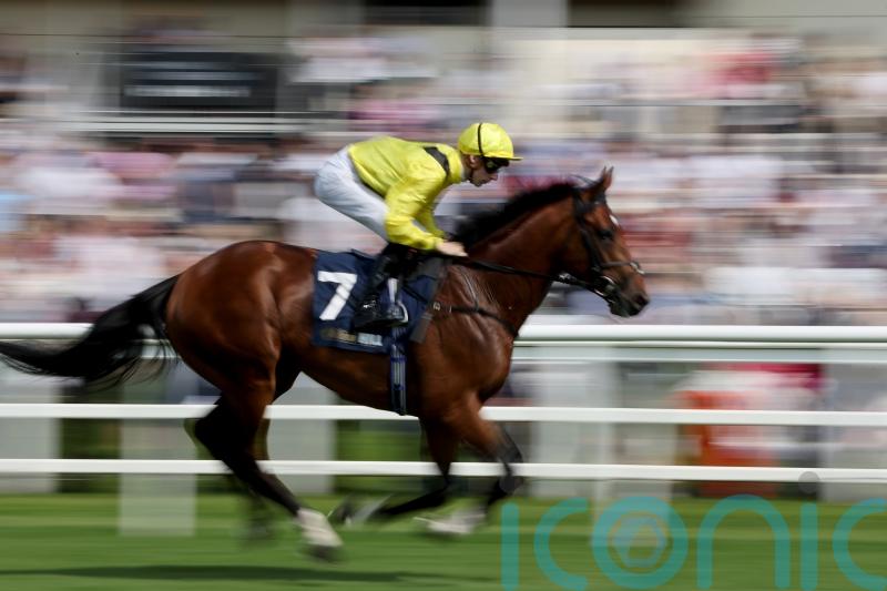 McDonald booked for Meydaan Melbourne Cup ride