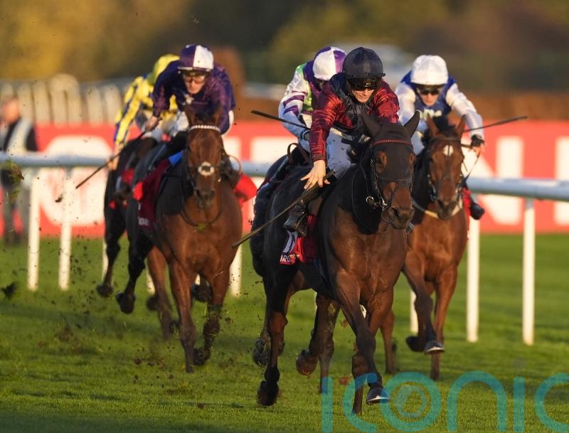 Castle Cove collects November Handicap for Lincoln-winning connections