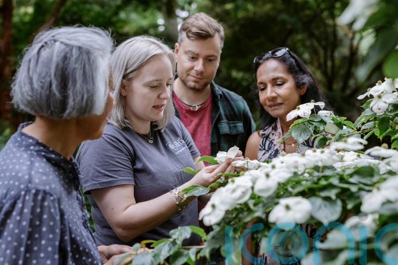 Gardening gifts with learning in mind