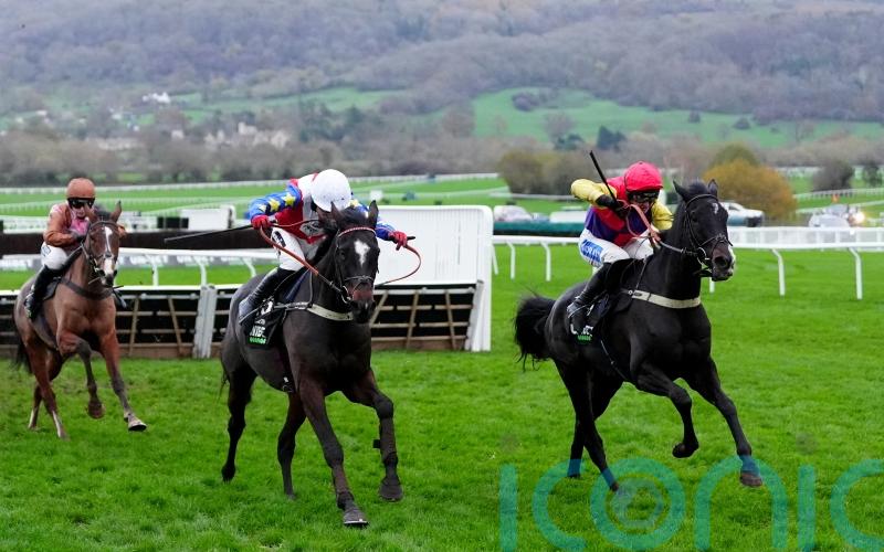 Tizzard outlines next step for Greatwood hero Alexei