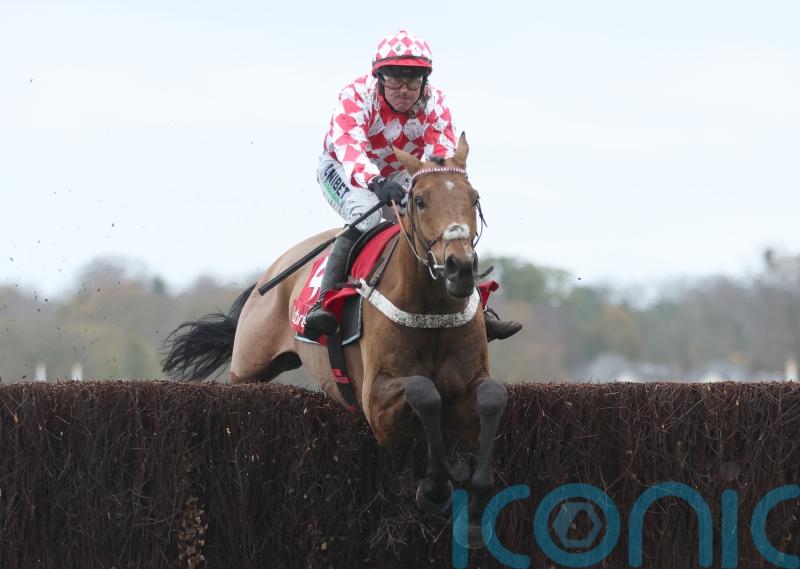 Nicky Henderson relishing King George test with Jango Baie