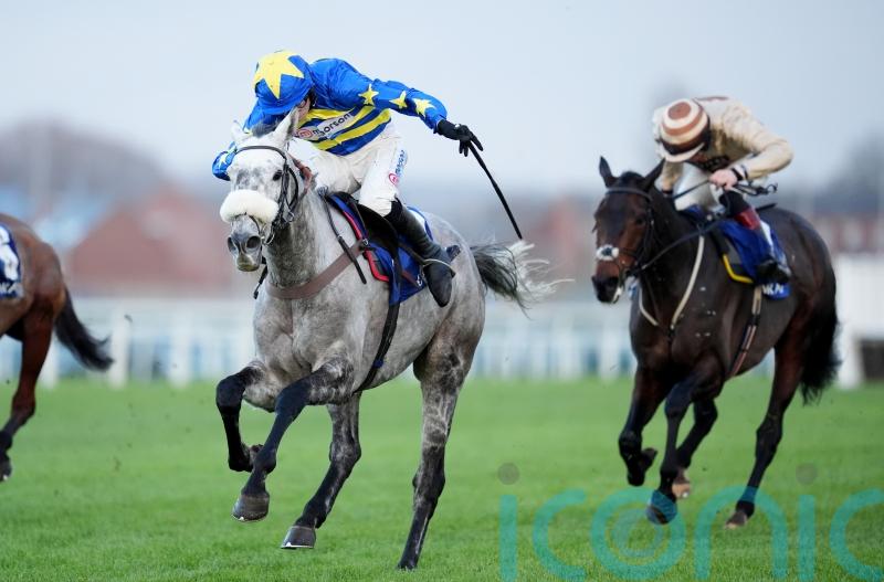 Kandoo Kid might have this season off, says Nicholls