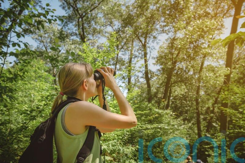 Are birdwatching holidays going to be the big trend for 2026? Advice and where to go