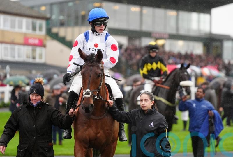 Nicholls pondering next steps for Kalif Du Berlais