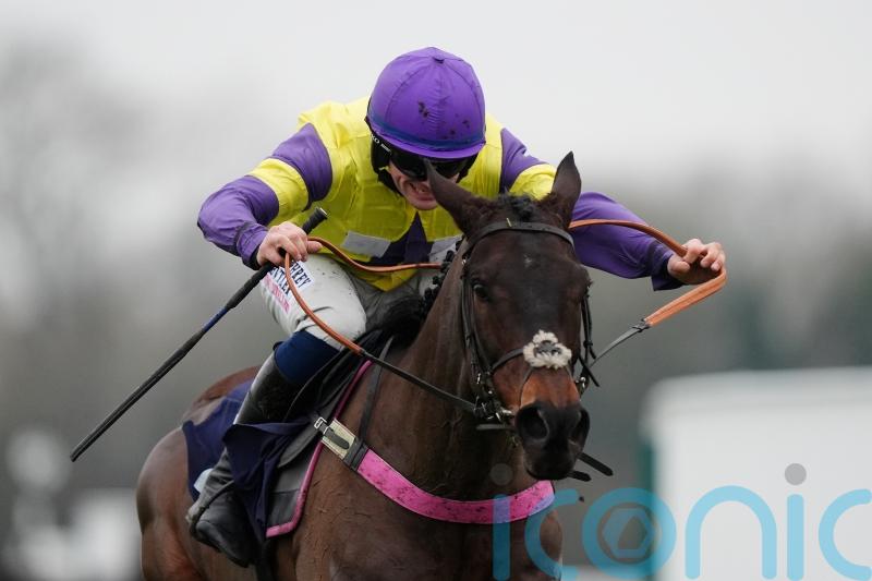 Kempton at Christmas could be calling for Nemean Lion