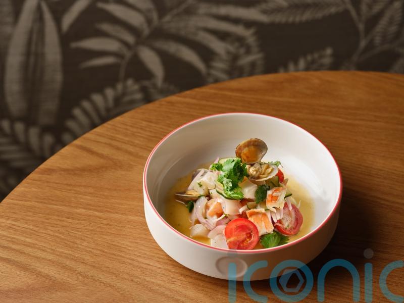 Nobu&rsquo;s seafood ceviche recipe