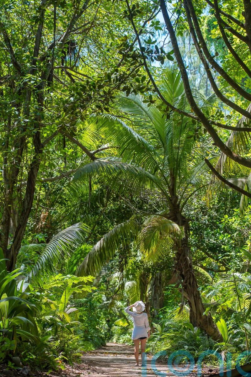 Beyond the beaches: Exploring the abundant wildlife of the Seychelles