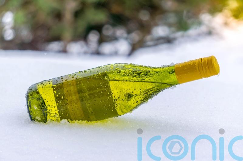 6 winter whites to perk up your palate