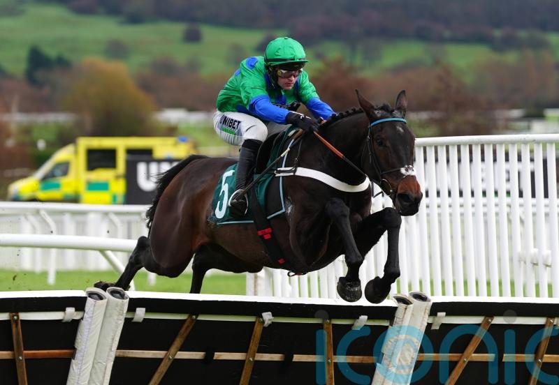 Old Park Star has owner dreaming of Supreme strike