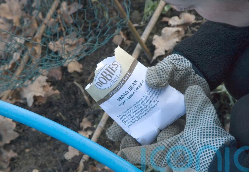 Must-do gardening jobs for February