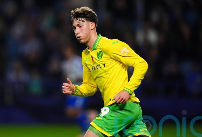 Norwich cruise to comfortable victory at struggling West Brom