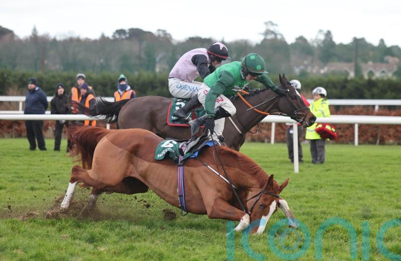 Talk The Talk bidding to bounce back on Sunday