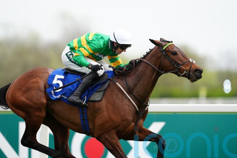 Inothewayurthinkin given clean bill of health following last-fence fall