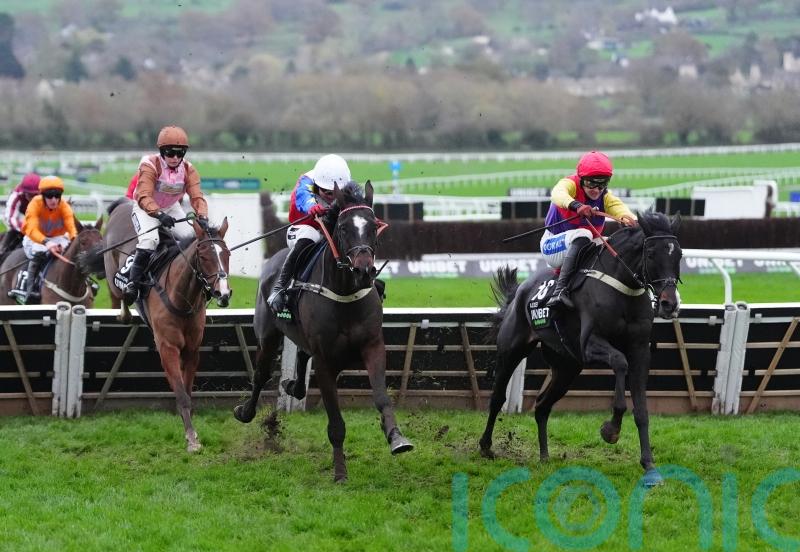 Kingwell could see Alexei book his Cheltenham ticket