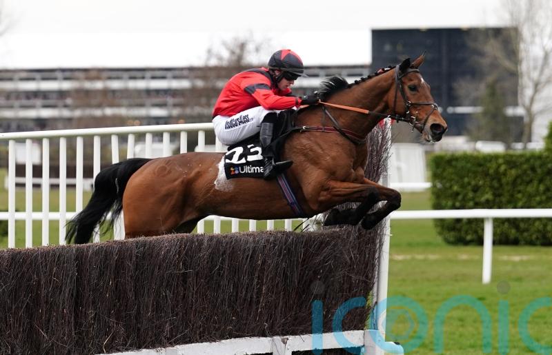 Myretown goes on trial for Cheltenham and Aintree
