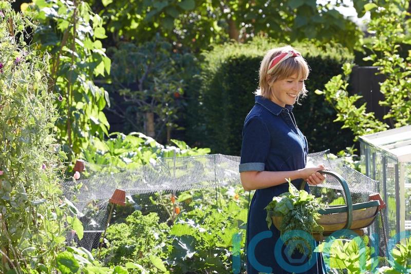 The best gardening jobs to boost wellbeing in spring