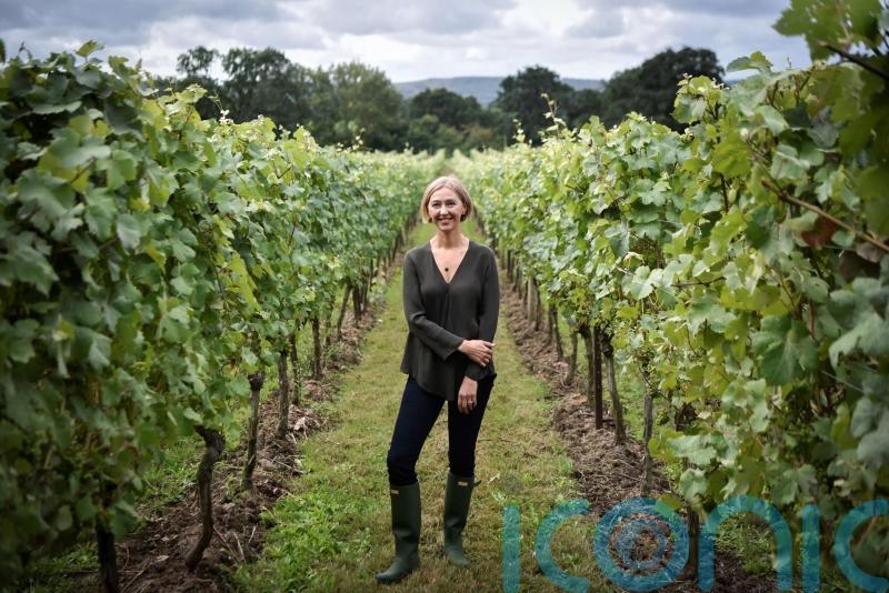 Nyetimber&rsquo;s head winemaker Cherie Spriggs: &lsquo;I think about wine in a musical way&rsquo;