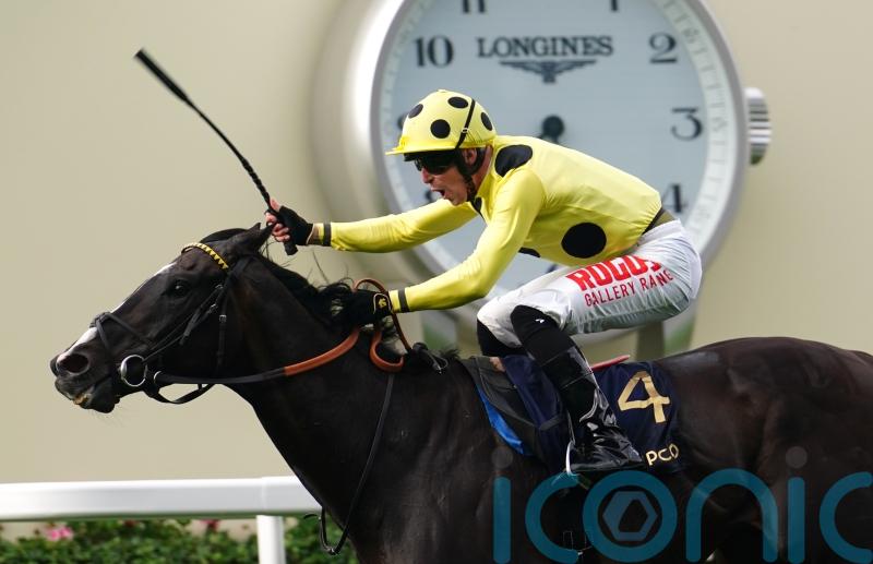 More overseas action planned for Neom Turf star Royal Champion