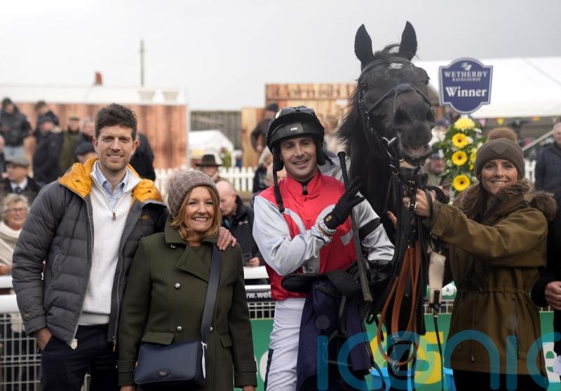 Racecourse gallop planned for Triumph contender Minella Study