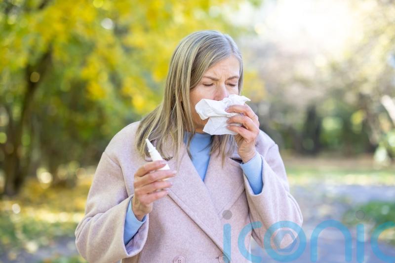 How to prepare for hay fever season