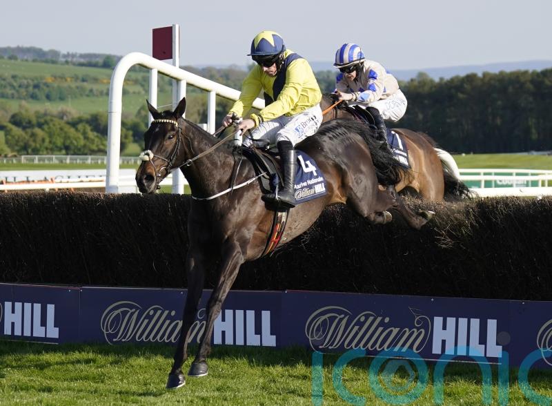 Marine Nationale set to start Punchestown countdown