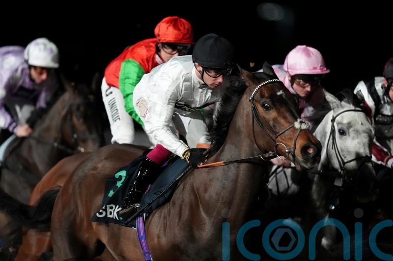 Stage set for next instalment of Constitution Hill on the Flat