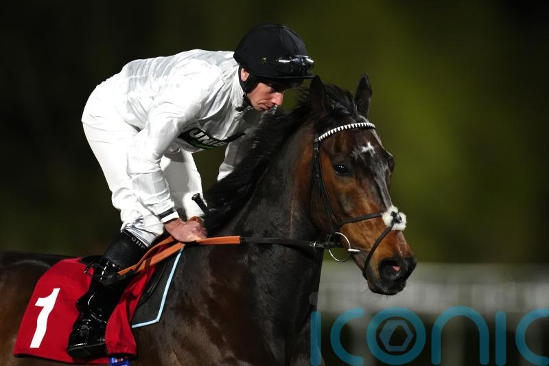 Constitution Hill makes it two from two on the Flat at Kempton