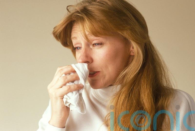 5 expert make-up tips for hay fever sufferers