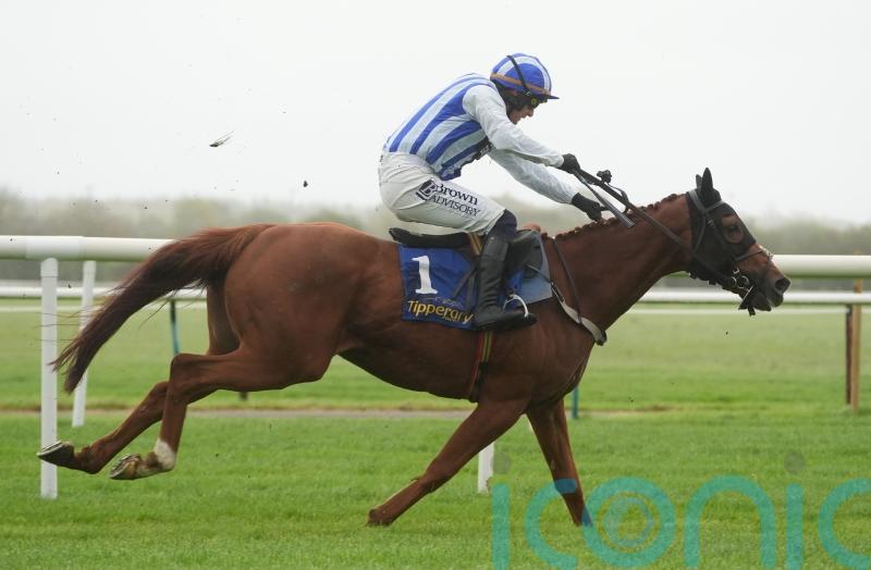 Gaucher could provide rare Newcastle winner for Willie Mullins