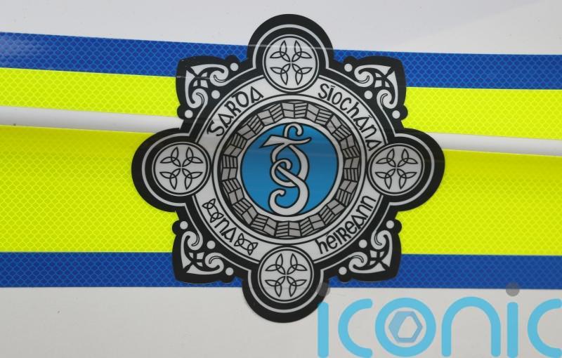 Scarlett Faulkner dies in hospital three weeks after Co Tipperary assault