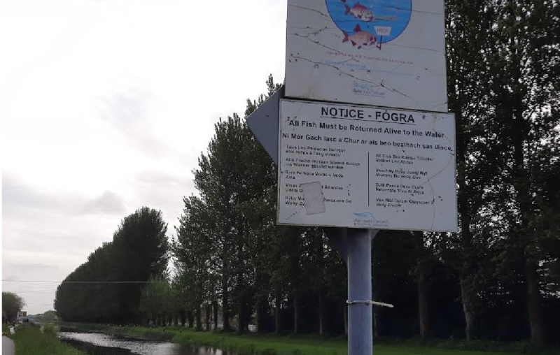 Poaching a major issue on Grand Canal in Tullamore