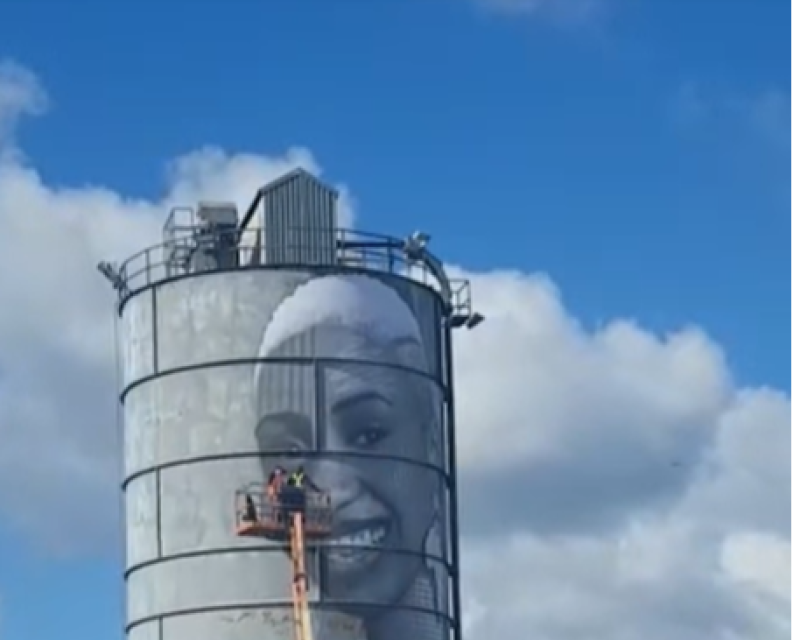 Stunning mural with incredible story behind it unveiled in Offaly 