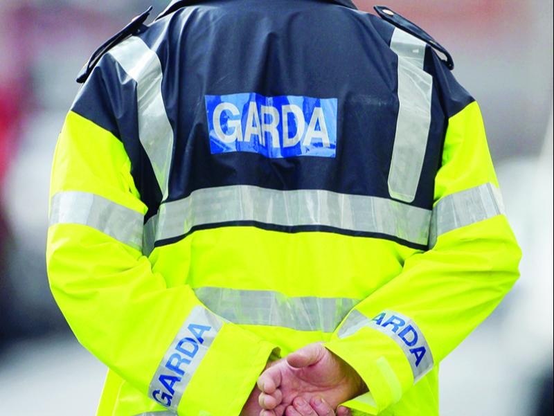 Gardaí investigating as shots fired at home with children inside