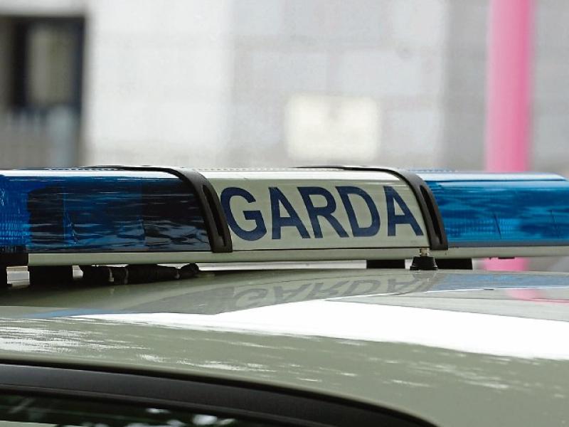 Skeletal remains discovered  by construction workers in Limerick
