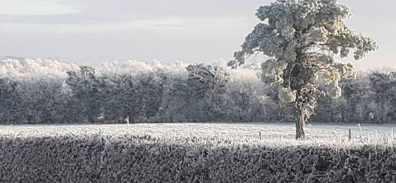 This beautiful frozen scene was captured by reader Mary Carroll