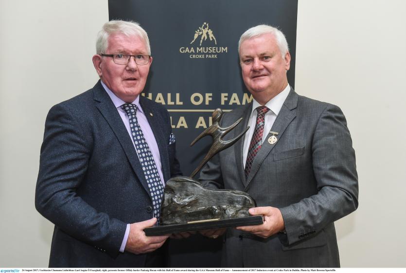 Offaly's Padraig Horan is presented with his Hall of Fame award by the GAA President, Aog&aacute;n &Oacute; Fearghail