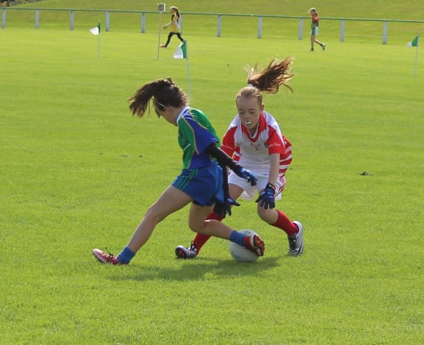 Action from the latest Blitz, held in August, hosted by Naomh Ciaran in Ferbane GAA Grounds