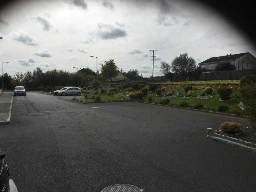 The Best Kept Estate in Edenderry - Sr Senan Court