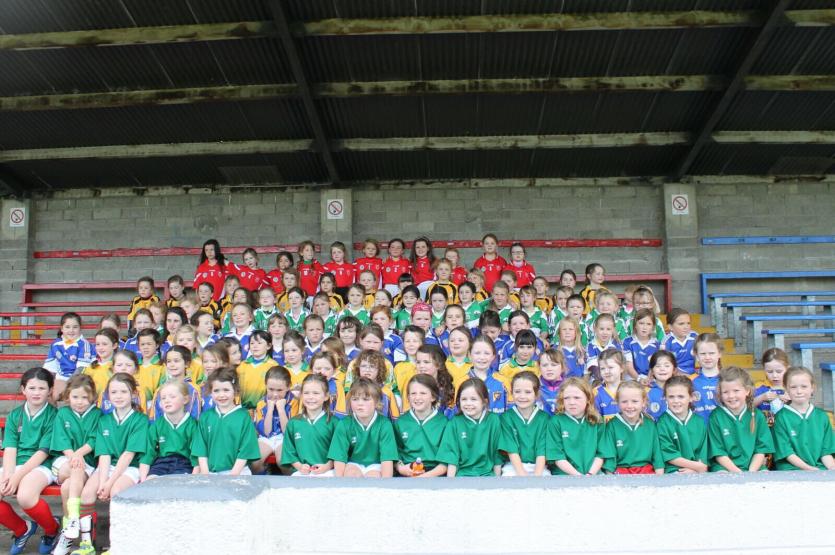 The Offaly Camogie end of year U8 blitz in Rath