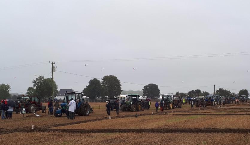 The Ploughmen and women prepare for action at Screggan - Photo: Justin Kelly