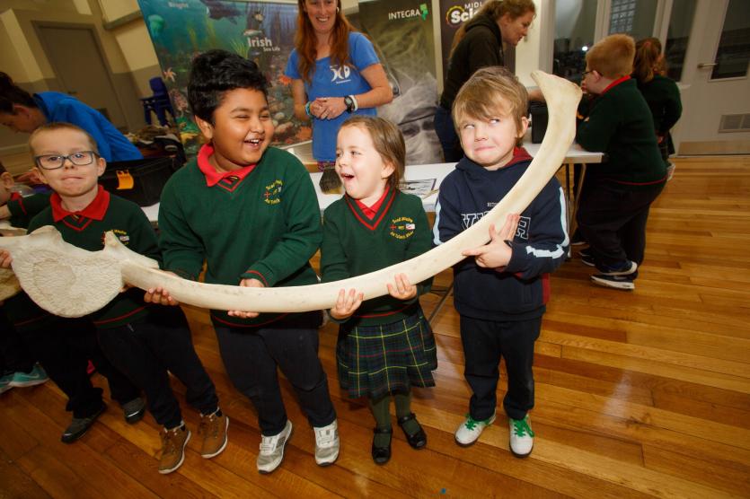 Scoil Mhuire Tullamore students enjoying a marine event run by Midlands Science in November 2017