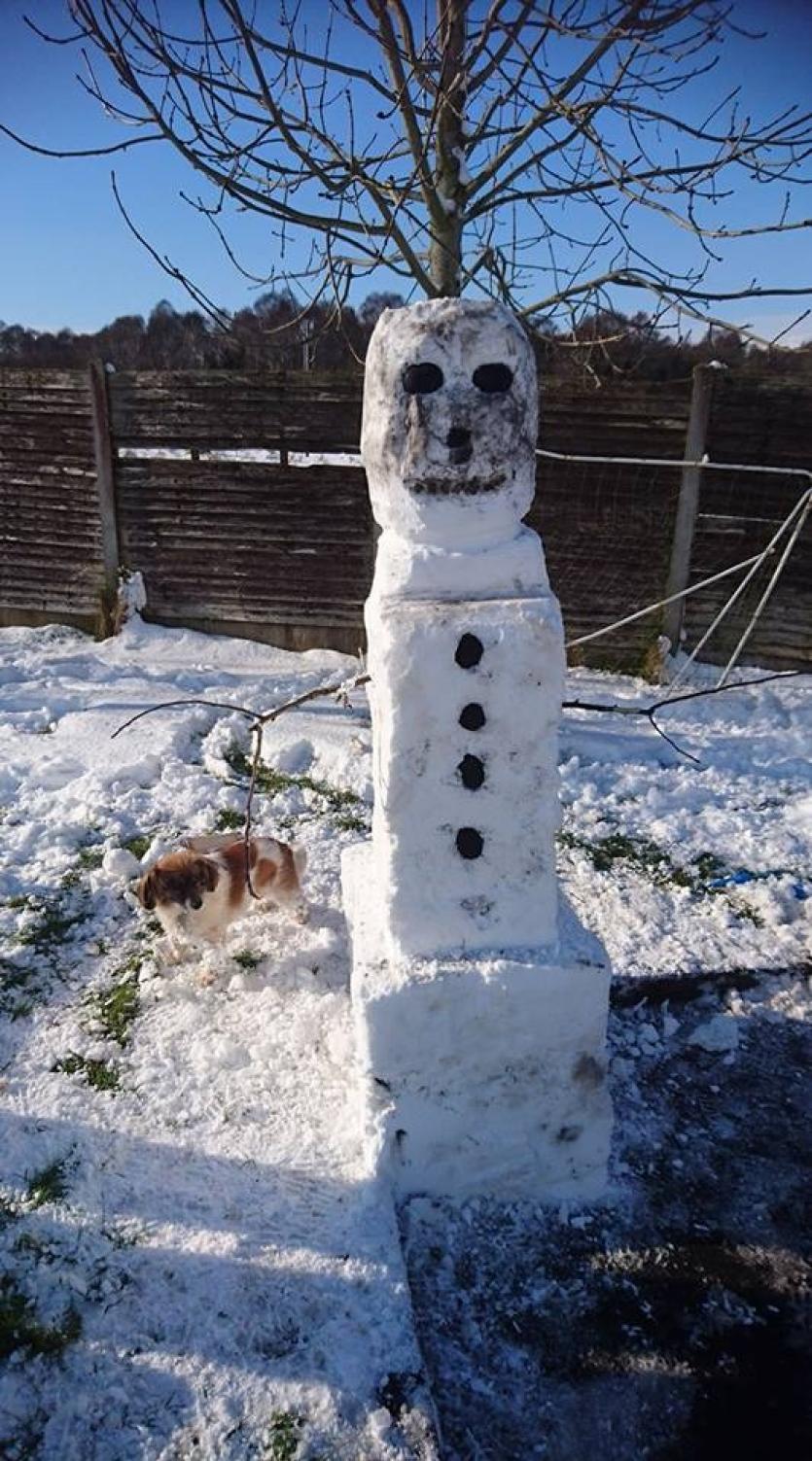 Snowman 8