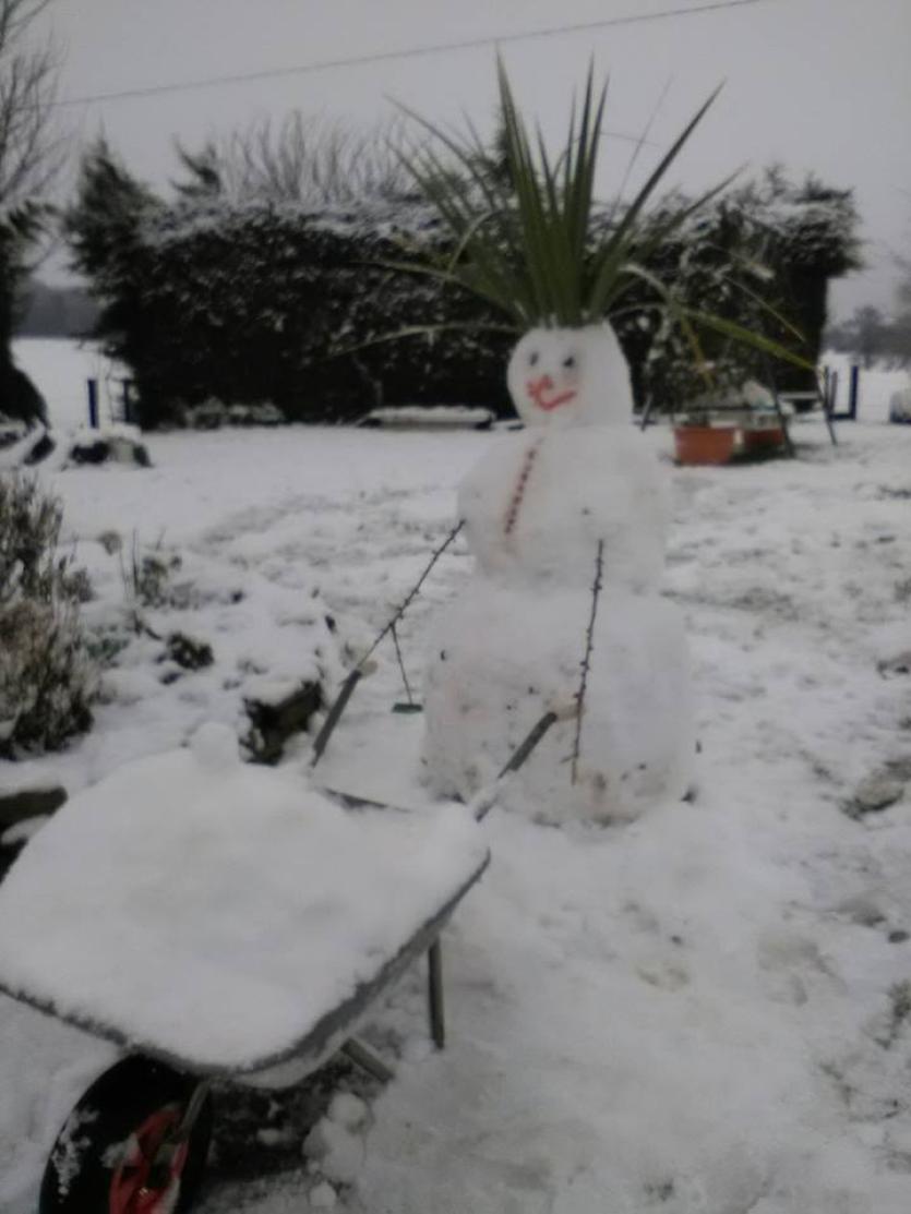 Snowman 17