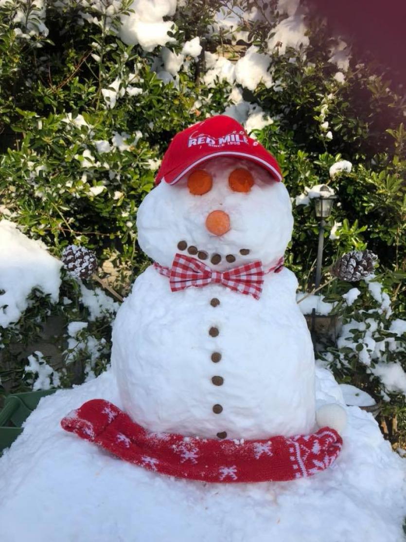 Snowman 19