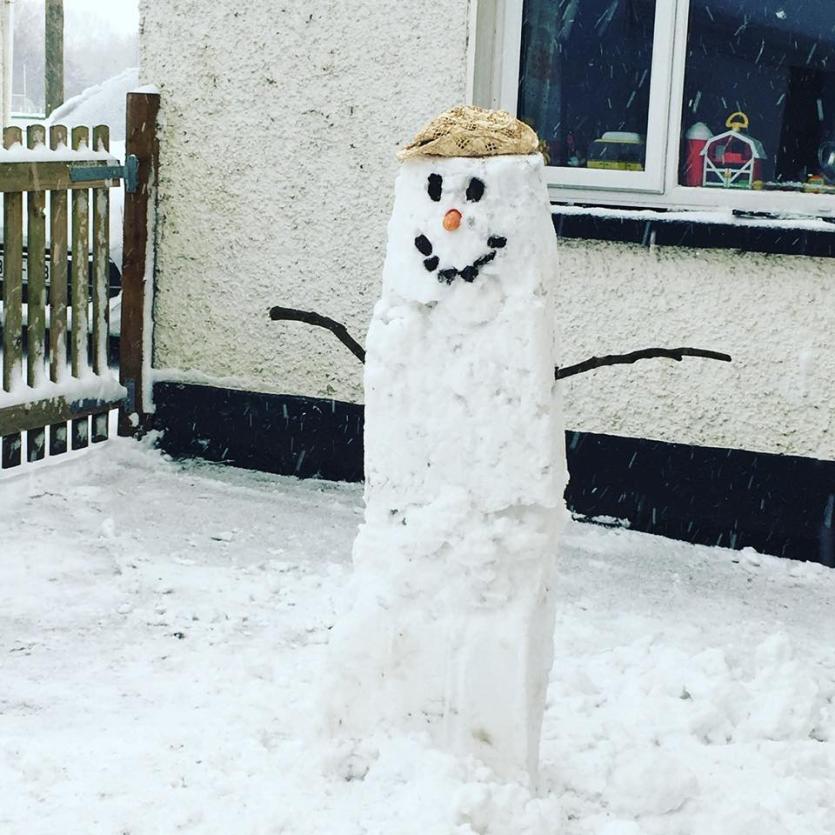 Snowman 27