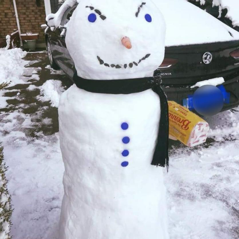 Snowman 30