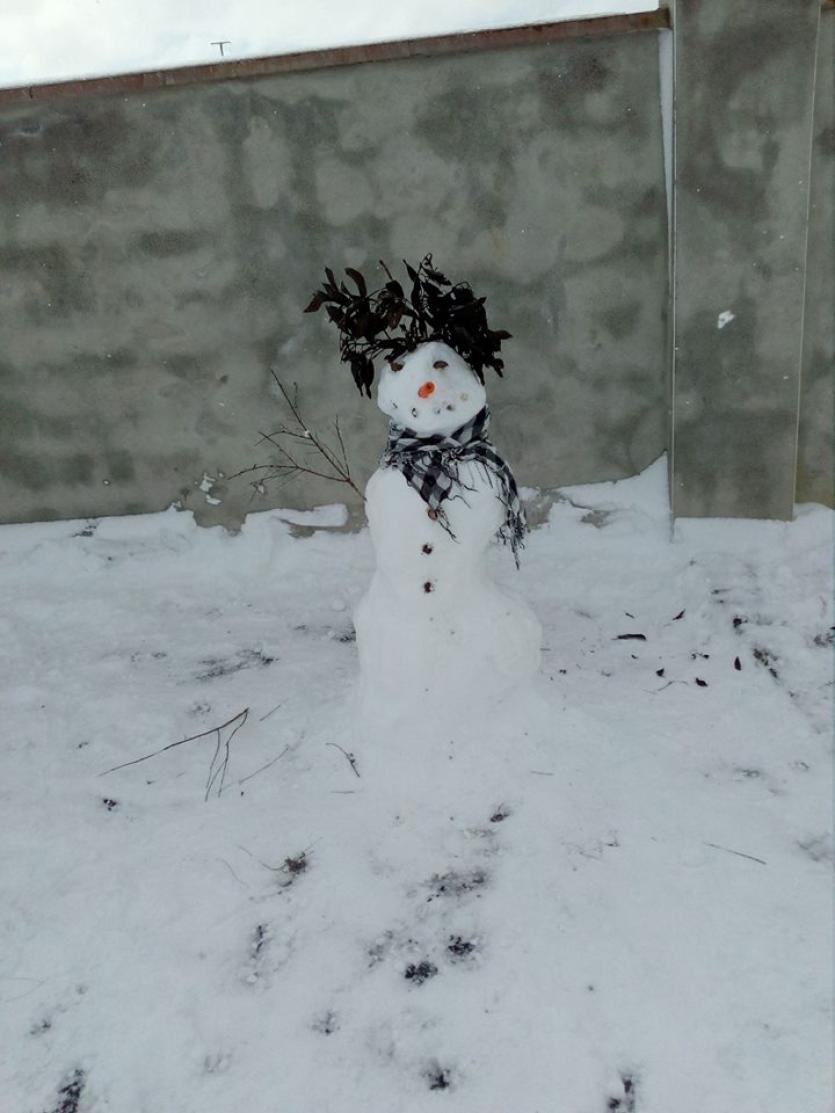 Snowman 32