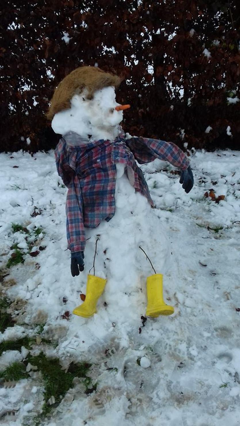 Snowman 39